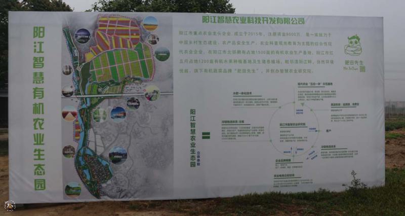 阳江tu4.jpg