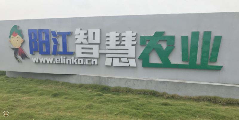 阳江tu1.jpg