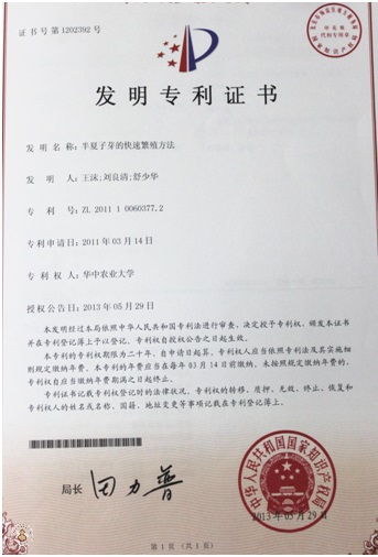 专利1.jpg